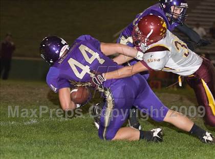 Thumbnail 2 in Tokay vs. Edison photogallery.