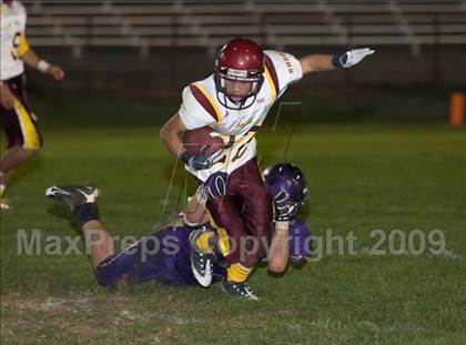Thumbnail 2 in Tokay vs. Edison photogallery.