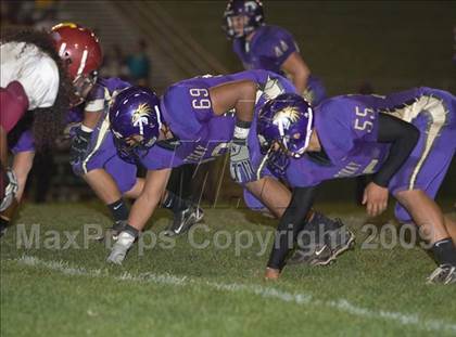 Thumbnail 2 in Tokay vs. Edison photogallery.