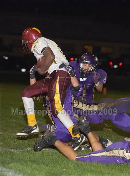 Thumbnail 3 in Tokay vs. Edison photogallery.