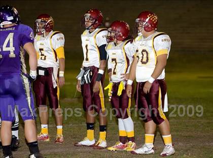 Thumbnail 1 in Tokay vs. Edison photogallery.