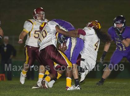 Thumbnail 2 in Tokay vs. Edison photogallery.