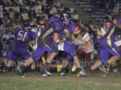 Thumbnail 2 in Tokay vs. Edison photogallery.