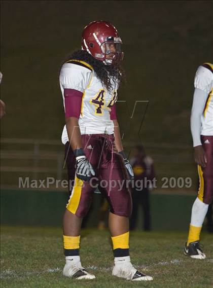 Thumbnail 2 in Tokay vs. Edison photogallery.