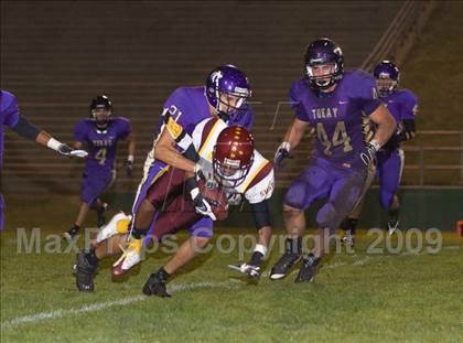 Thumbnail 2 in Tokay vs. Edison photogallery.