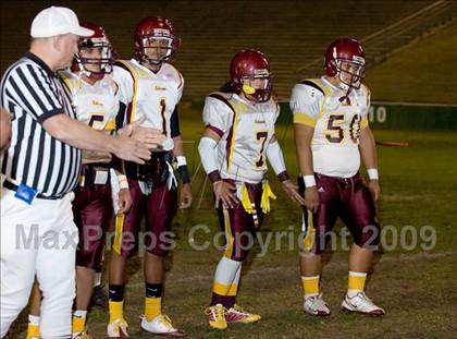 Thumbnail 2 in Tokay vs. Edison photogallery.