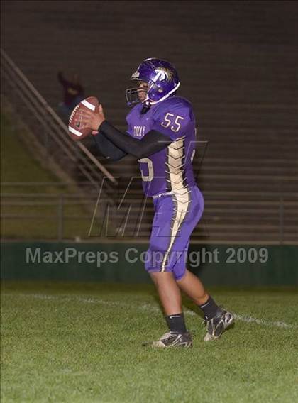 Thumbnail 3 in Tokay vs. Edison photogallery.