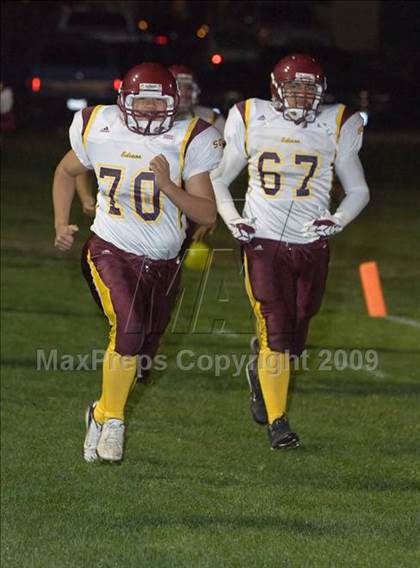 Thumbnail 2 in Tokay vs. Edison photogallery.