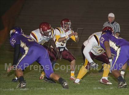 Thumbnail 2 in Tokay vs. Edison photogallery.