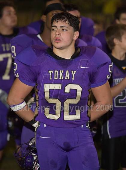 Thumbnail 2 in Tokay vs. Edison photogallery.