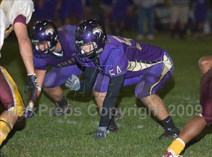 Thumbnail 3 in Tokay vs. Edison photogallery.