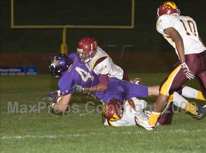 Thumbnail 2 in Tokay vs. Edison photogallery.