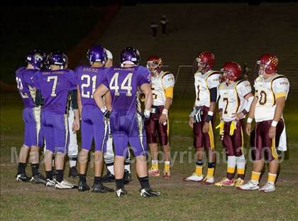 Thumbnail 2 in Tokay vs. Edison photogallery.