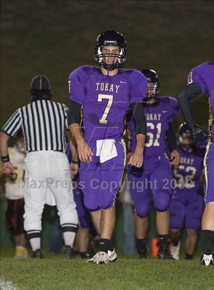 Thumbnail 2 in Tokay vs. Edison photogallery.