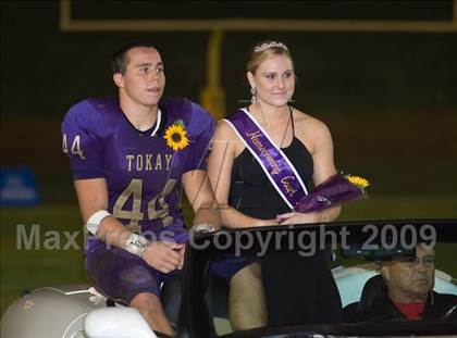 Thumbnail 3 in Tokay vs. Edison photogallery.