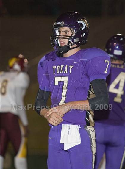 Thumbnail 1 in Tokay vs. Edison photogallery.