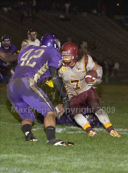 Thumbnail 2 in Tokay vs. Edison photogallery.