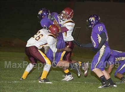 Thumbnail 1 in Tokay vs. Edison photogallery.