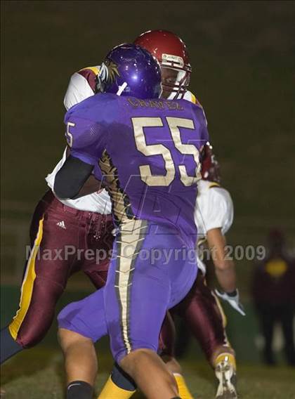 Thumbnail 1 in Tokay vs. Edison photogallery.
