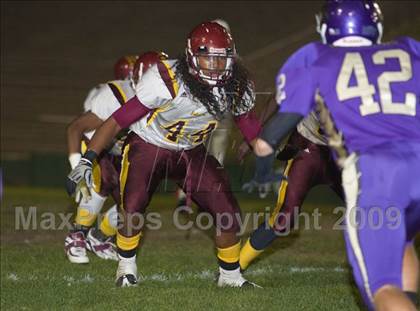 Thumbnail 1 in Tokay vs. Edison photogallery.