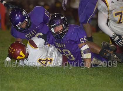 Thumbnail 3 in Tokay vs. Edison photogallery.