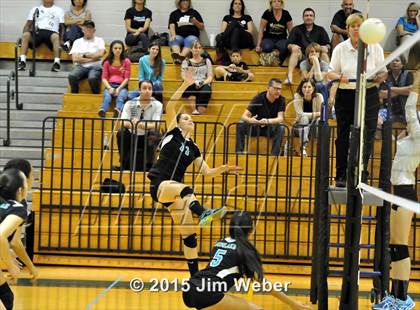 Thumbnail 3 in Mitchell @ Sunlake  photogallery.