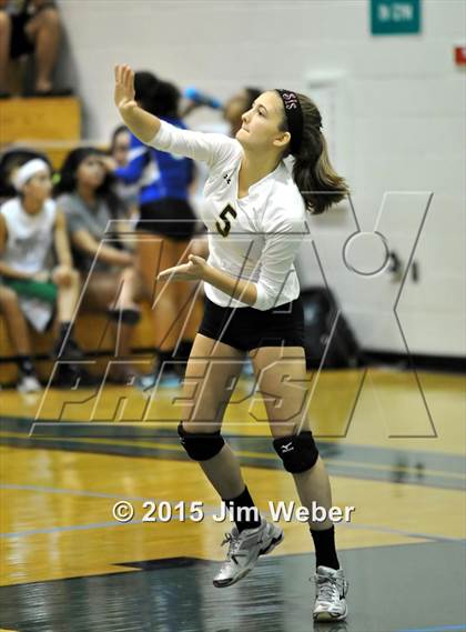 Thumbnail 3 in Mitchell @ Sunlake  photogallery.