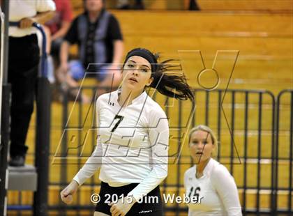 Thumbnail 2 in Mitchell @ Sunlake  photogallery.