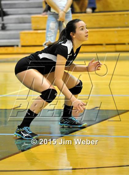Thumbnail 3 in Mitchell @ Sunlake  photogallery.