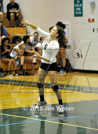 Thumbnail 1 in Mitchell @ Sunlake  photogallery.