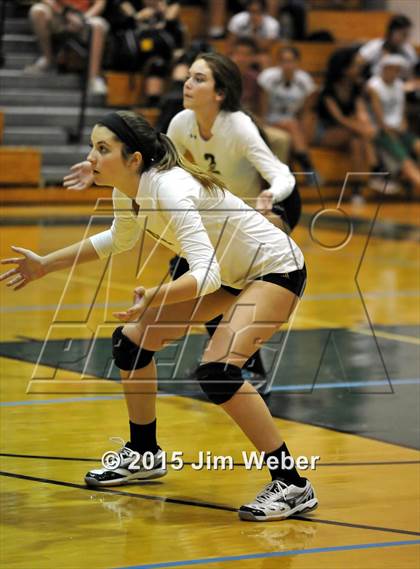 Thumbnail 1 in Mitchell @ Sunlake  photogallery.