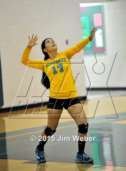 Thumbnail 3 in Mitchell @ Sunlake  photogallery.