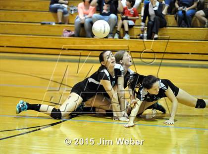 Thumbnail 1 in Mitchell @ Sunlake  photogallery.
