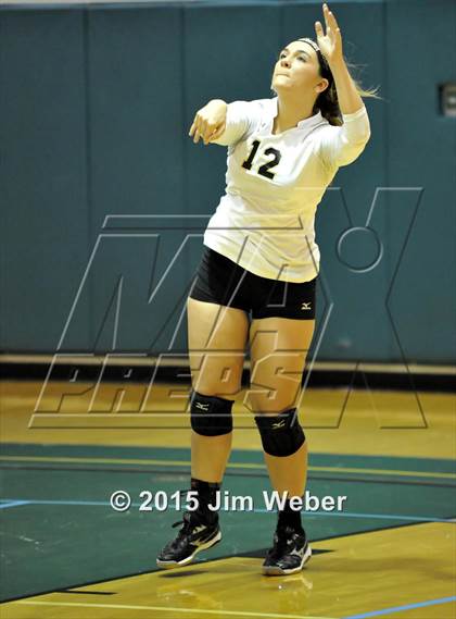 Thumbnail 1 in Mitchell @ Sunlake  photogallery.