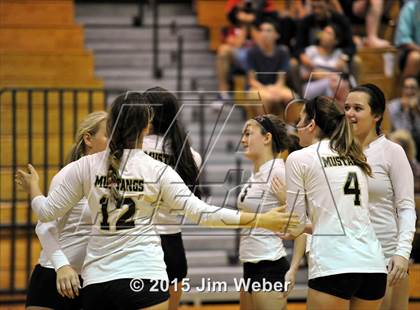 Thumbnail 2 in Mitchell @ Sunlake  photogallery.