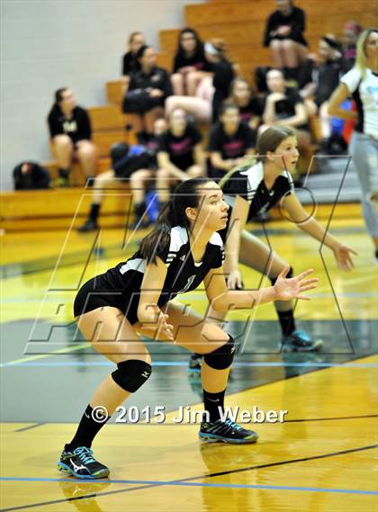 Thumbnail 1 in Mitchell @ Sunlake  photogallery.