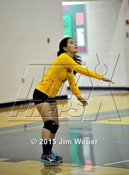 Thumbnail 2 in Mitchell @ Sunlake  photogallery.