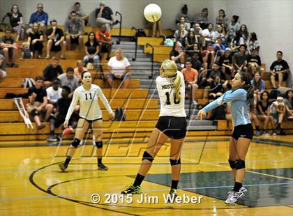 Thumbnail 3 in Mitchell @ Sunlake  photogallery.
