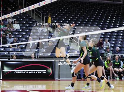 Thumbnail 3 in Blum vs. Fayetteville (UIL Volleyball 1A Finals) photogallery.