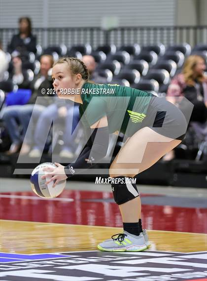 Thumbnail 2 in Blum vs. Fayetteville (UIL Volleyball 1A Finals) photogallery.
