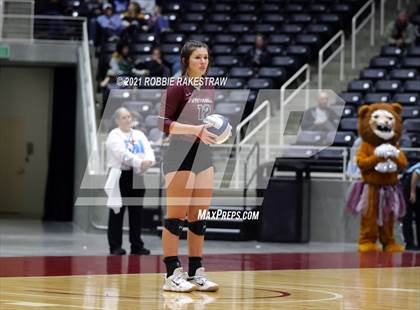 Thumbnail 2 in Blum vs. Fayetteville (UIL Volleyball 1A Finals) photogallery.