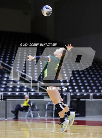 Thumbnail 3 in Blum vs. Fayetteville (UIL Volleyball 1A Finals) photogallery.