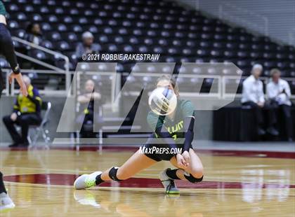 Thumbnail 1 in Blum vs. Fayetteville (UIL Volleyball 1A Finals) photogallery.