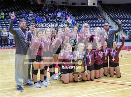 Thumbnail 1 in Blum vs. Fayetteville (UIL Volleyball 1A Finals) photogallery.