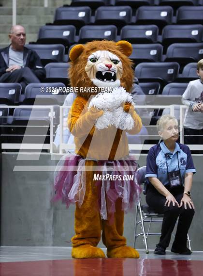 Thumbnail 3 in Blum vs. Fayetteville (UIL Volleyball 1A Finals) photogallery.