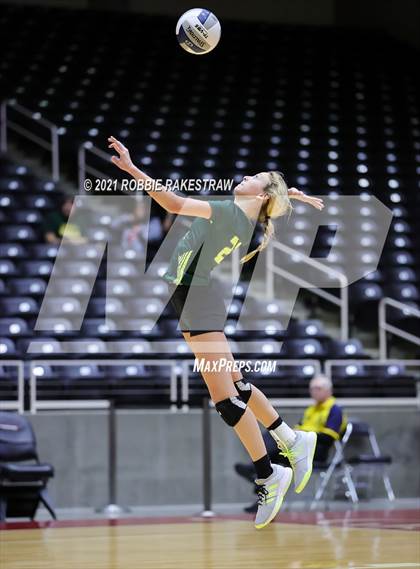 Thumbnail 1 in Blum vs. Fayetteville (UIL Volleyball 1A Finals) photogallery.