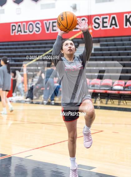 Thumbnail 2 in JV Girls Basketball Torrance vs Palos Verdes photogallery.
