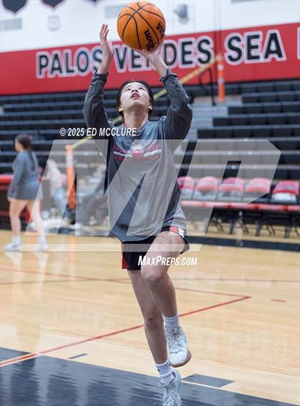 Thumbnail 3 in JV Girls Basketball Torrance vs Palos Verdes photogallery.