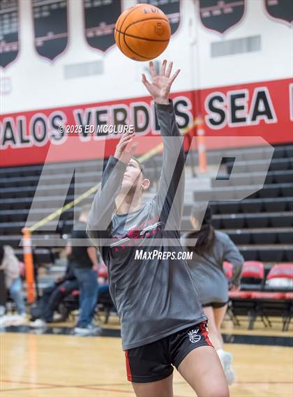 Thumbnail 3 in JV Girls Basketball Torrance vs Palos Verdes photogallery.