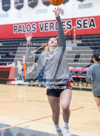 Thumbnail 2 in JV Girls Basketball Torrance vs Palos Verdes photogallery.